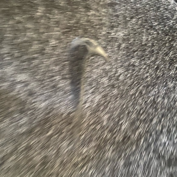 Nike Dri Fit Womens Dark Grey Crop Leggings S - Picture 2 of 6